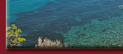 Die Cote d' Azur mit kleinen versteckten Buchten in Südfrankreich am Mittelmeer, Bild 5 von 6