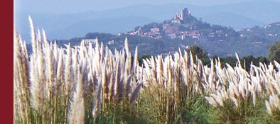 Grimaud, Blick aus der Ferne auf Grimaud mit der Burgruine an der Cote d' Azur, Bild 3 von 6