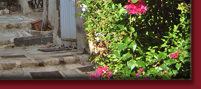 Grimaud, alt gepflasterte Treppe mit hübsch gesäumten Häusern im Licht der Sonne, Bild 6 von 6
