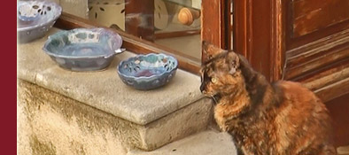 gemütlicher Souvenirshop im Zentrum von Grimaud mit einer sich wohlfühlenden Katze, Bild 3 von 6
